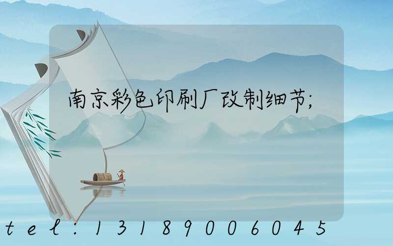 南京彩色印刷厂改制细节